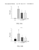 Anoectochilus SPP. polysaccharide extracts for stimulating growth of advantageous bacteria, stimuating release of granulocyte colony-Stimulating factor, modulating T helper cell type I, and/or modulating T helper cell type II and uses of the same diagram and image