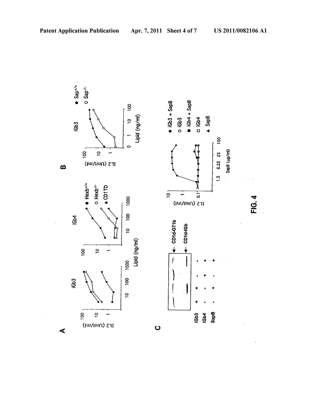 METHODS OF ACTIVATING NKT CELLS - diagram, schematic, and image 05