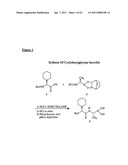 Peptidomimetic Inhibitors of Post-Proline Cleaving Enzymes diagram and image