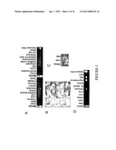 1,2,3-Trisubstituted aryl and heteroaryl derivatives as modulators of metabolism and the prophylaxis and treatment of disorders related thereto such as diabetes and hyperglycemia diagram and image