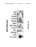 1,2,3-Trisubstituted aryl and heteroaryl derivatives as modulators of metabolism and the prophylaxis and treatment of disorders related thereto such as diabetes and hyperglycemia diagram and image