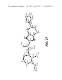 SOLID STATE FORMS OF RACEMIC ILAPRAZOLE diagram and image