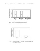 N -NITROXYALKYLNICOTINAMIDES FOR THE TREATMENT OF CARDIOVASCULAR DISEASES diagram and image