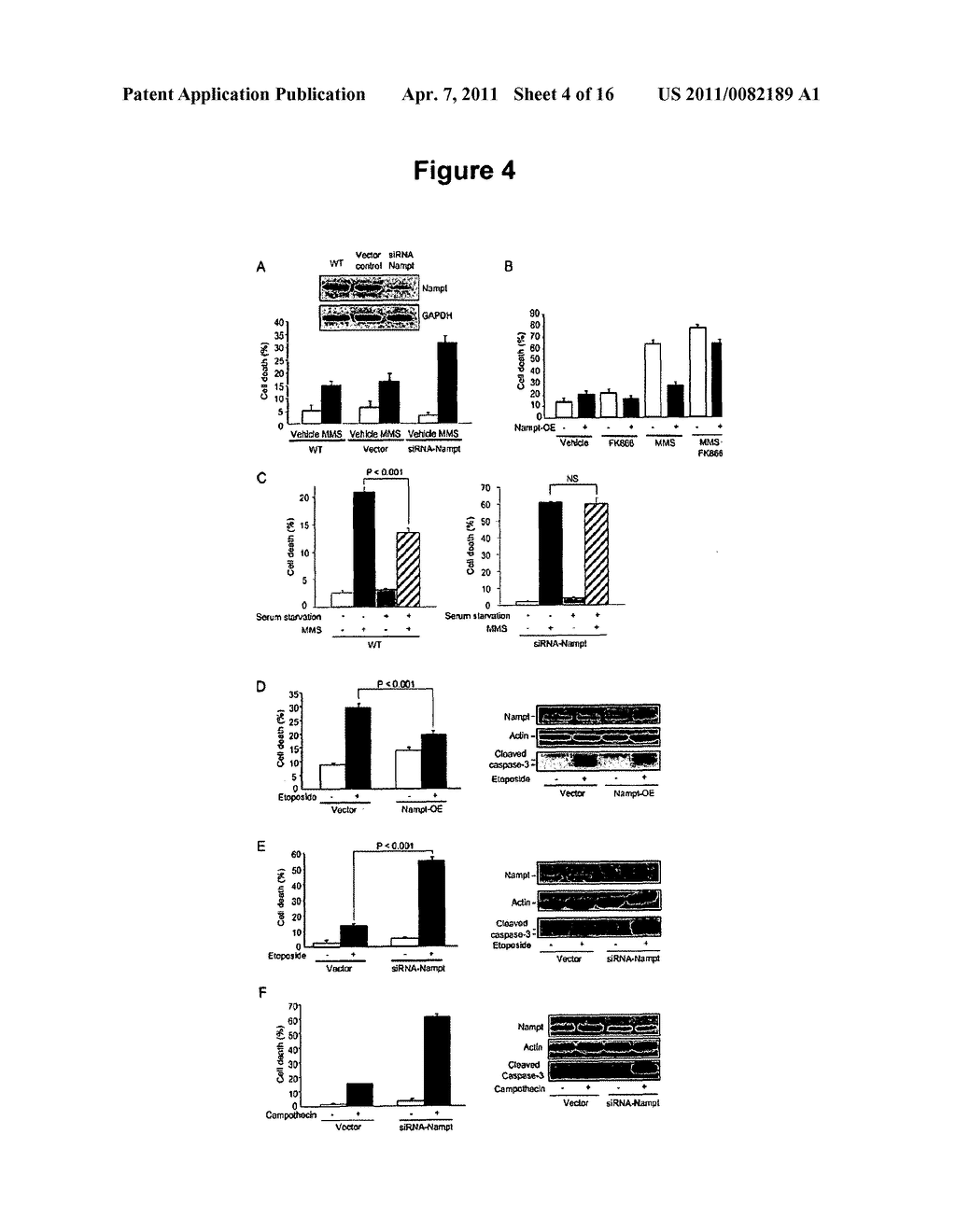 USE OF COMPOUNDS ACTIVATING SIRT-3 FOR MIMICKING EXERCISE - diagram, schematic, and image 05