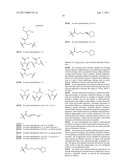 LIPOIC ACID ACYLATED SALICYLATE DERIVATIVES AND THEIR USES diagram and image