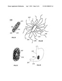 BEZOAR-FORMING UNITS FOR WEIGHT CONTROL diagram and image