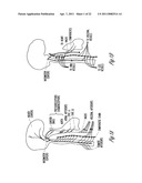 HYPERTENSION THERAPY BASED ON ACTIVITY AND CIRCADIAN RHYTHM diagram and image