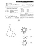 OPTICAL SENSOR USING NANO-SPACER AND DETECTION METHOD USING THE SAME diagram and image