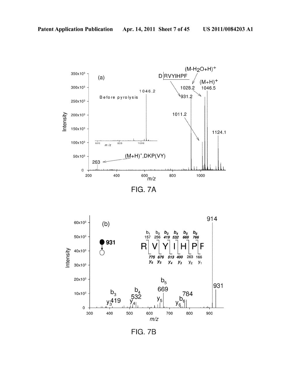 METHOD AND APPARATUS FOR PYROLYSIS-INDUCED CLEAVAGE IN PEPTIDES AND PROTEINS - diagram, schematic, and image 08