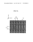 PLASMA DISPLAY PANEL diagram and image