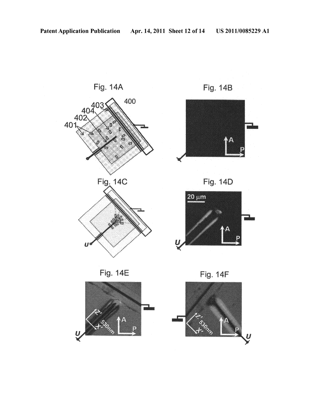 Methods and Apparatus for Controlling Dispersions of Nanoparticles - diagram, schematic, and image 13