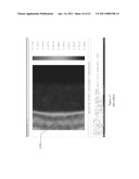 MULTIPLEXED BIOMETRIC IMAGING diagram and image