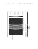 MULTIPLEXED BIOMETRIC IMAGING diagram and image