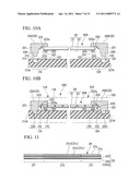 ELECTRONIC APPARATUS, CELLULAR PHONE, FLEXIBLE CABLE AND METHOD FOR MANUFACTURING OPTICAL WAVEGUIDE FORMING BODY diagram and image