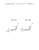 ELECTRONIC APPARATUS, CELLULAR PHONE, FLEXIBLE CABLE AND METHOD FOR MANUFACTURING OPTICAL WAVEGUIDE FORMING BODY diagram and image