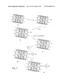 NANOTUBES FOR CANCER THERAPY AND DIAGNOSTICS diagram and image