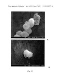 NANOTUBES FOR CANCER THERAPY AND DIAGNOSTICS diagram and image