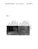 STABILIZATION OF HYDROPHOBIC PROTEIN THERAPEUTIC AGENTS diagram and image