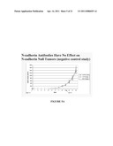 NOVEL ANTIBODIES AGAINST CANCER TARGET BLOCK TUMOR GROWTH, ANGIOGENESIS AND METASTASIS diagram and image