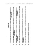 IMMUNOTHERAPEUTIC METHODS AND MOLECULES diagram and image