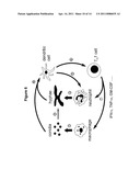 IMMUNOTHERAPEUTIC METHODS AND MOLECULES diagram and image