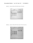 Interleukin-13 Antibody Composition diagram and image