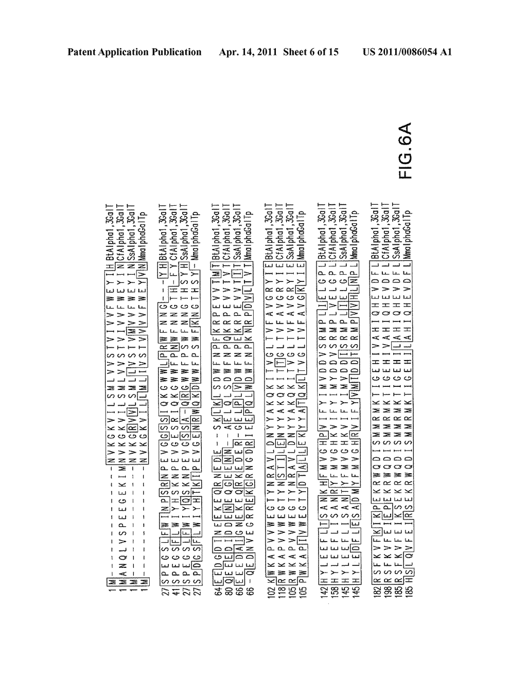 YEAST STRAIN FOR THE PRODUCTION OF PROTEINS WITH TERMINAL ALPHA-1,3-LINKED GALACTOSE - diagram, schematic, and image 07