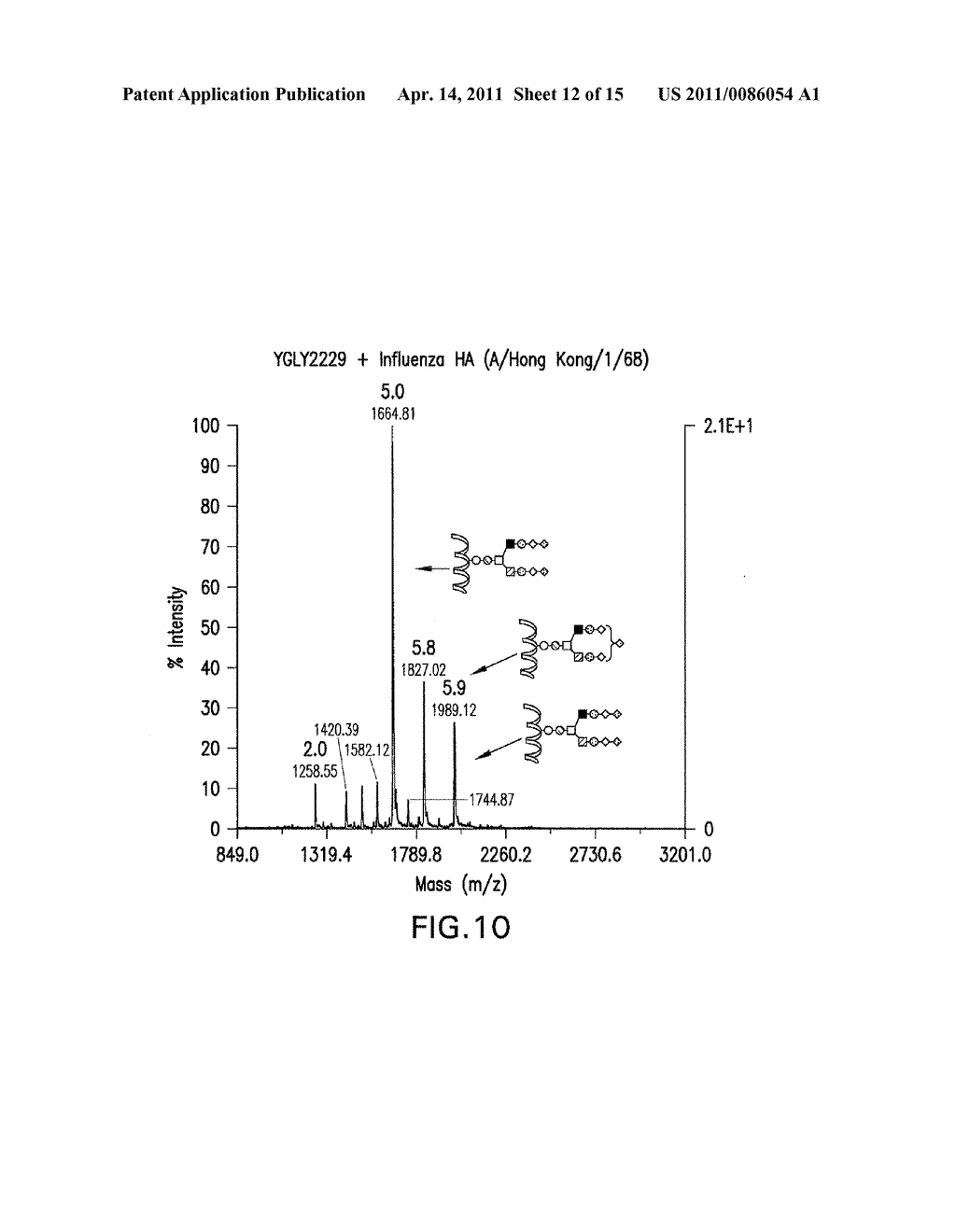 YEAST STRAIN FOR THE PRODUCTION OF PROTEINS WITH TERMINAL ALPHA-1,3-LINKED GALACTOSE - diagram, schematic, and image 13