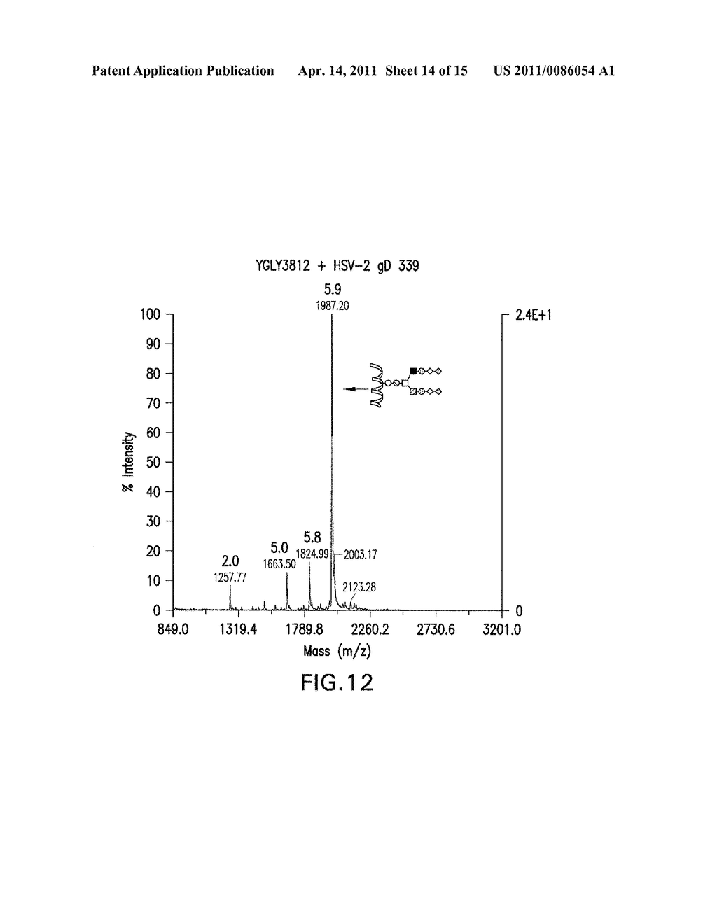 YEAST STRAIN FOR THE PRODUCTION OF PROTEINS WITH TERMINAL ALPHA-1,3-LINKED GALACTOSE - diagram, schematic, and image 15