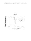 Immunopotentiator-Linked Oligomeric Influenza Immunogenic Compositions diagram and image