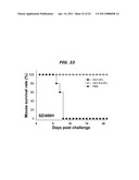 Immunopotentiator-Linked Oligomeric Influenza Immunogenic Compositions diagram and image