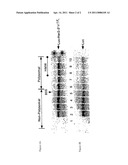 METHODS FOR IDENTIFYING NOVEL NUCLEIC ACID REGULATORY ELEMENTS AND COMPOUNDS THAT AFFECT THE REGULATION diagram and image