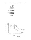 CANNABINOIDS IN COMBINATION WITH NON-CANNABINOID CHEMOTHERAPEUTIC AGENTS (E.G. SERM OR ALKYLATING AGENTS) diagram and image