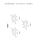 ISOLATION AND USE OF RYANODINE RECEPTORS diagram and image