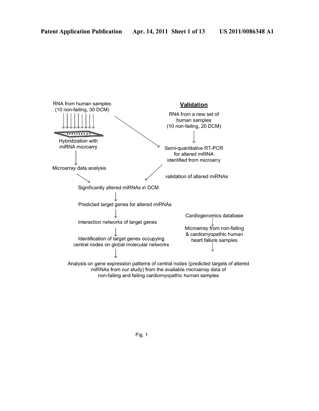 METHOD FOR ASSESSING HEART DISEASE - diagram, schematic, and image 02