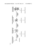 PHARMACEUTICALS FOR INFLUENCING THE REACTION OF THE HUMAN IMMUNE SYSTEM diagram and image