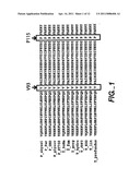 Chimeric Polymerases diagram and image