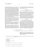 Chimeric Polymerases diagram and image