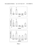 Surfactant-Based Monolithic Columns, Methods for Making the Same, and Method for Using the Same diagram and image