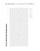 METHODS TO INHIBIT CELL GROWTH diagram and image