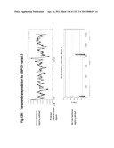 METHODS TO INHIBIT CELL GROWTH diagram and image