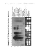 METHODS TO INHIBIT CELL GROWTH diagram and image