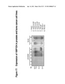 METHODS TO INHIBIT CELL GROWTH diagram and image