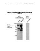 METHODS TO INHIBIT CELL GROWTH diagram and image