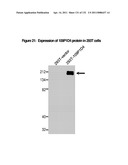 METHODS TO INHIBIT CELL GROWTH diagram and image