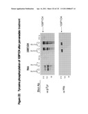 METHODS TO INHIBIT CELL GROWTH diagram and image