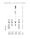 METHODS TO INHIBIT CELL GROWTH diagram and image