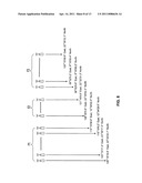 SYSTEM AND METHOD FOR HOME CELLULAR NETWORKS diagram and image