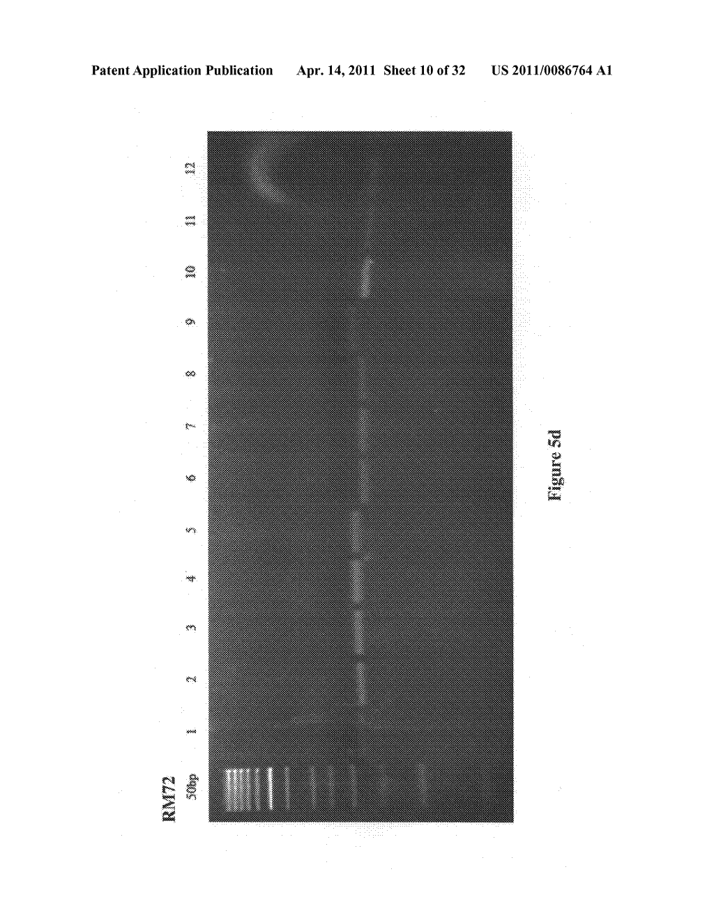 SINGLE TUBE MULTIPLEX ASSAY FOR DETECTION OF ADULTERANTS IN BASMATI RICE SAMPLES - diagram, schematic, and image 11