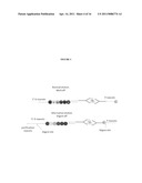 Protein Detection Via Nanoreporters diagram and image